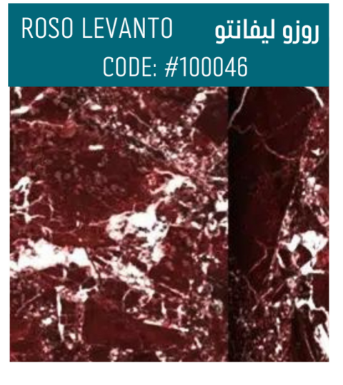 Rosa Levanto